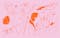 Image Test